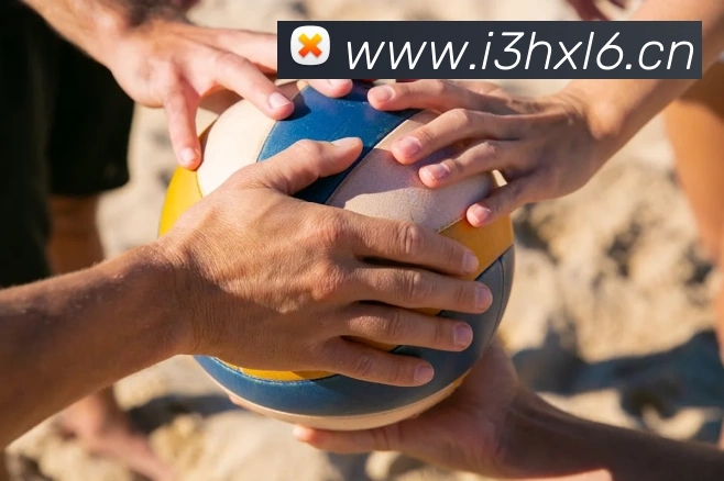 半岛在线网页版登录品牌故事