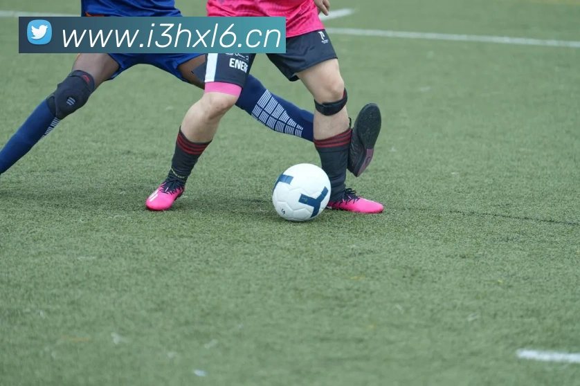 半岛在线网页版登录服务体系